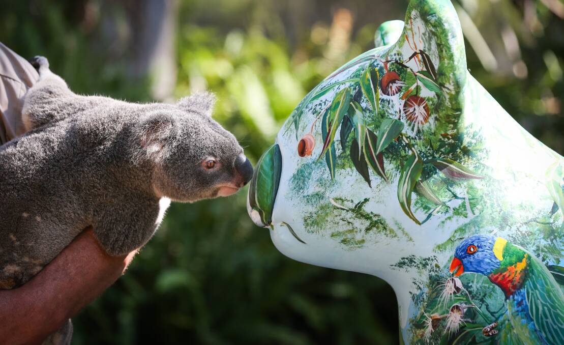 CUTE IDEA: Jesse Anderson thinks koala sculptures, like those featured in Port Macquarie, would be a good addition to Port Stephens.