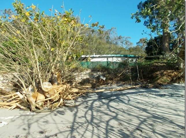 URGENT NEED: A photo taken from the beach looking towards the Conroy Park toilet block which the community says is in need of urgent attention. Picture: Supplied