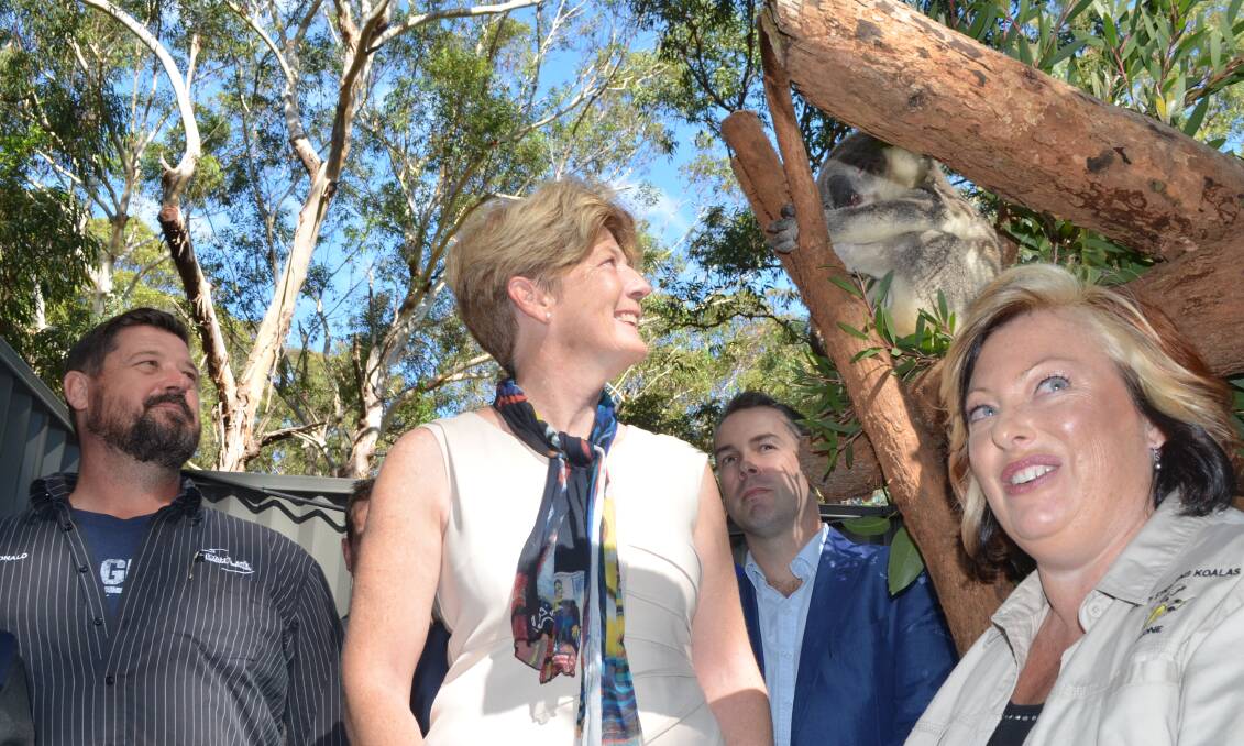 FIGHTING CHANCE: Port Stephens Duty MLC Catherine Cusack (centre) is flanked by Noah's Ark veterinarian Donald Hudson (left), Port Stephens mayor Ryan Palmer and care coordinator Simone Aurino. Ms Cusack announced $3 million for a koala sanctuary on Monday. Picture: Sam Norris