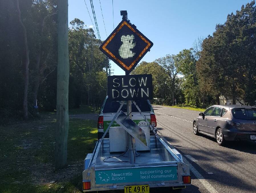 PUT TO USE: The sign in action at Port Stephens Drive, Salamander Bay, Thursday afternoon. Picture: Port Stephens Koalas