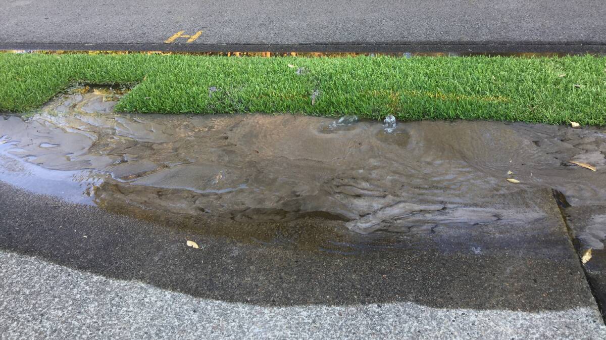BUBBLING UP: Water rises through the turf from a leak below. Silt partially covers a fire hydrant. Picture: Supplied