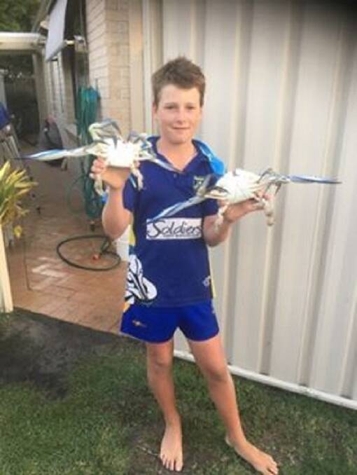 TRUE BLUE: Nelson Bay crab champion Jarrod Walls, 11, with a couple of thumping Wanda Beach blue crabs