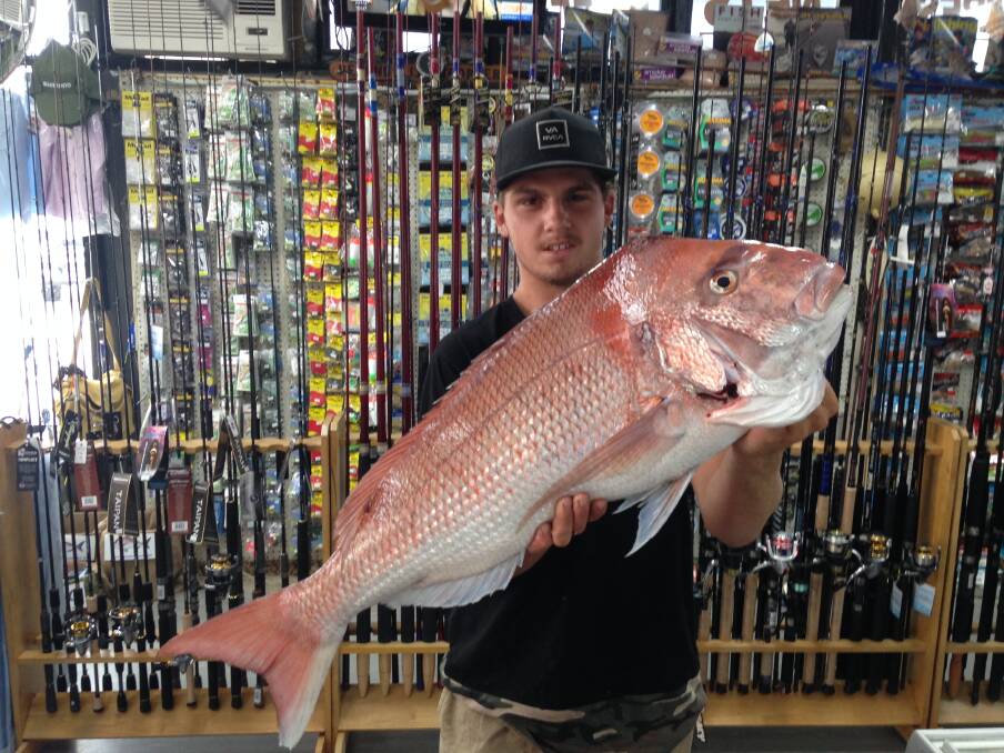 WHOAH!: Luke Hill, of Boat Harbour, with his monster Fingal snapper.