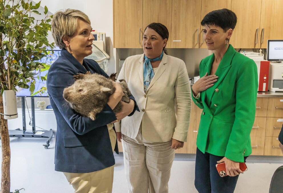 FUNDING: Tanya Plibersek, Paterson MP Meryl Swanson and Port Stephens MP Kate Washington at the koala hospital on Thursday. Pictures: Henk Tobbe