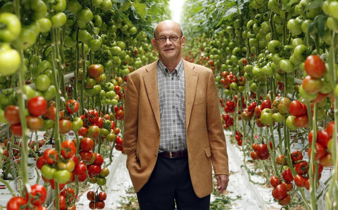 Optimistic: Maria's Farm Veggies shareholder Cor Disselkoen in a Netherlands glasshouse that is similar to the one planned for Williamtown.