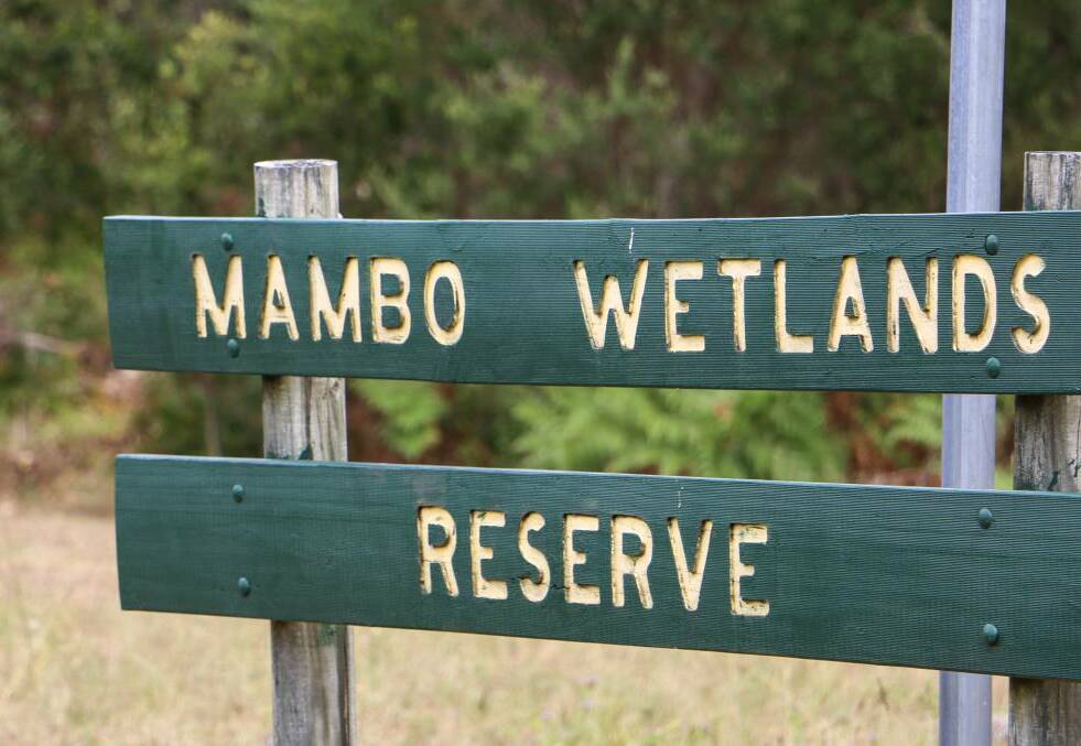 Mambo Wetlands Reserve. 