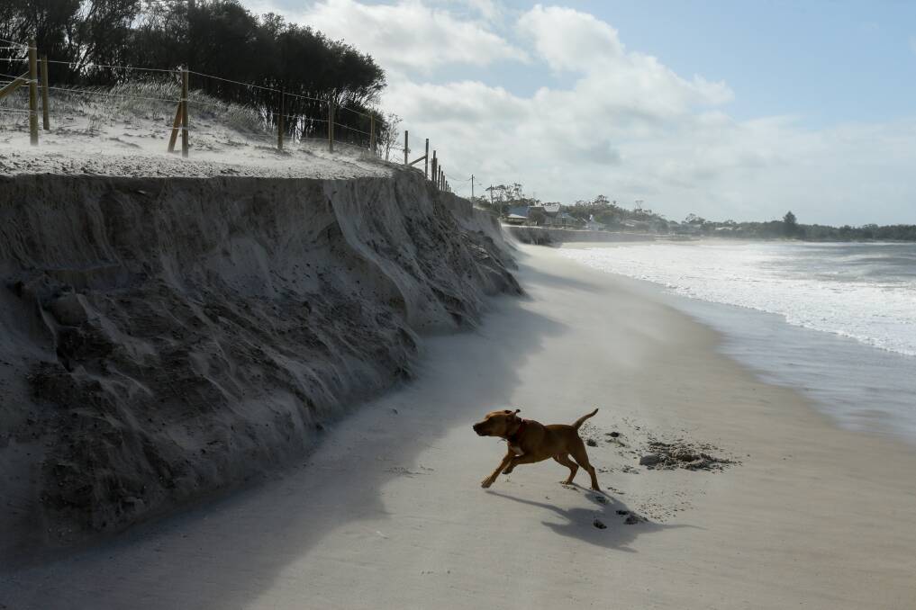 Jimmys Beach erosion