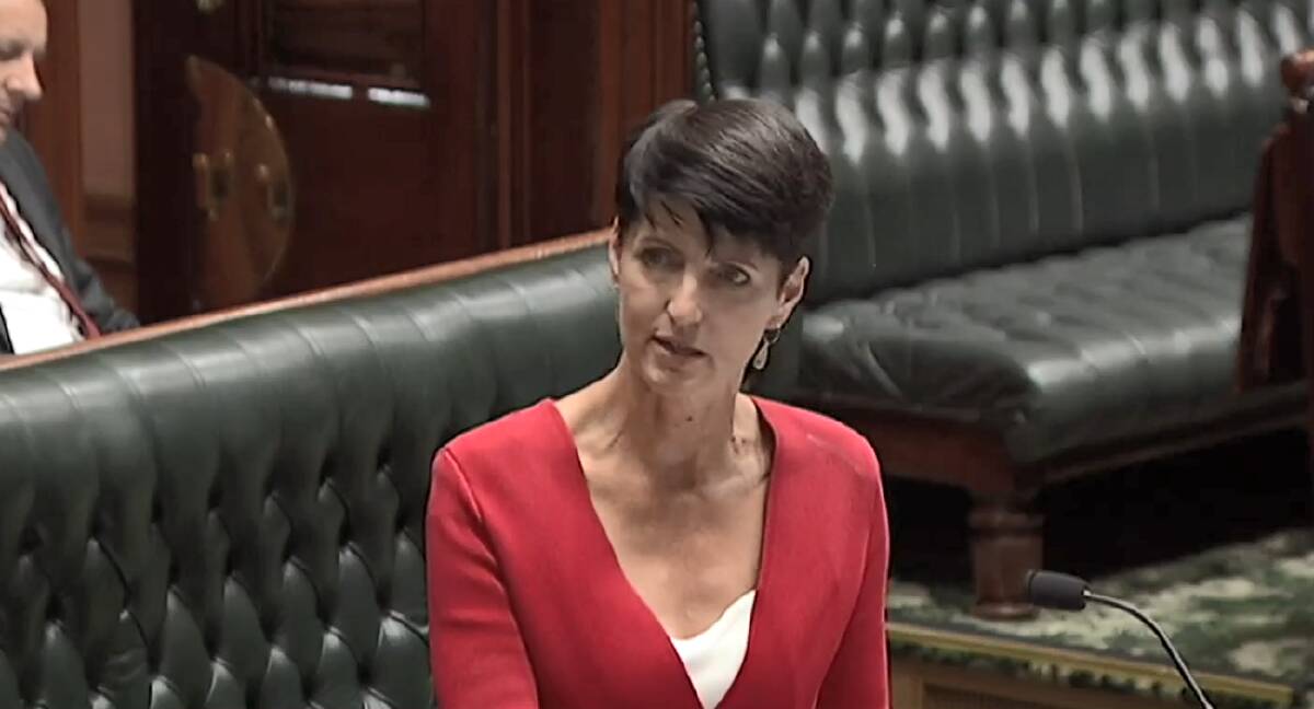 SPEECH: Member for Port Stephens Kate Washington during her speech to parliament on Wednesday. Picture: Supplied