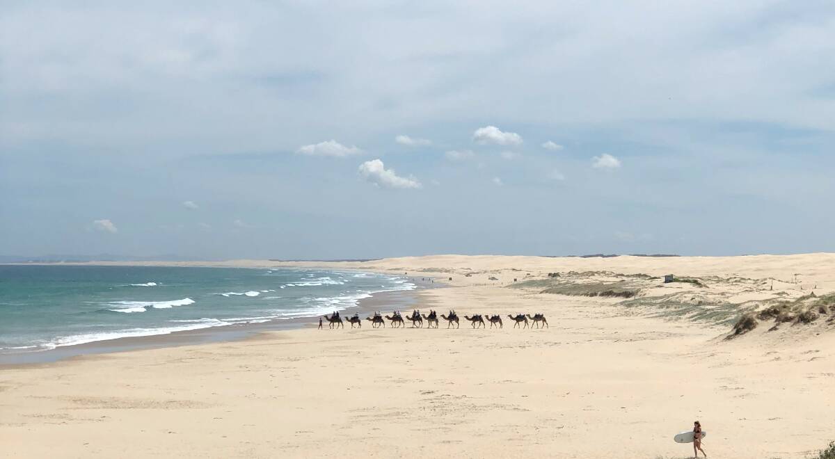 FIRST: Kiya Hargreaves, 12, was judged winner in the 5-12 years category for her photo 'Camels on the Beach' at Birubi.