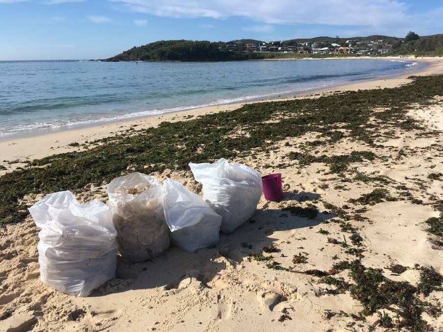 CLEAN-UP: Some of the bags of plastic cups and lids collected from Fingal Beach early this week. Picture: Belinda Petty