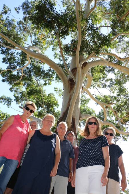 SAVE OUR TREES: Shoal Bay residents underneath one of the three gum trees originally slated for removal by Port Stephens Council.