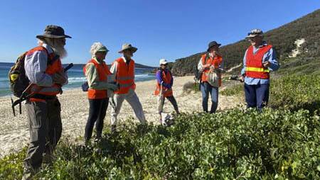 REGENERATION: FoTNAP volunteers taking part in a recent bush regeneration at Tomaree National Park. 