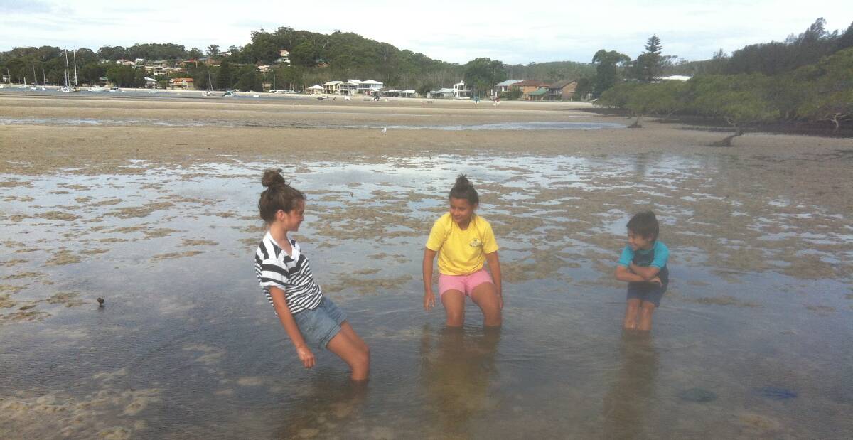 STUCK IN THE MUD: Children show how easy it is to get stuck in the mud in Port Stephens due to a combination of suction and no solid base. Picture: Iain Watt