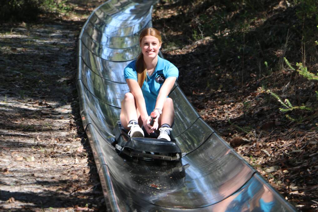 IN ACTION: Toboggan Hill Park in Nelson Bay has plans for two new toboggan tracks.