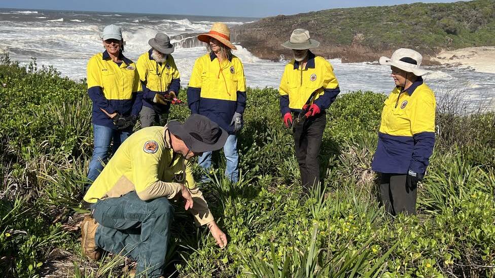 VOLUNTEERS NEEDED: National Parks and Wildlife Service ranger, Jim Cutler (front), talking with some Friends of Tomaree National Park. Picture: Supplied