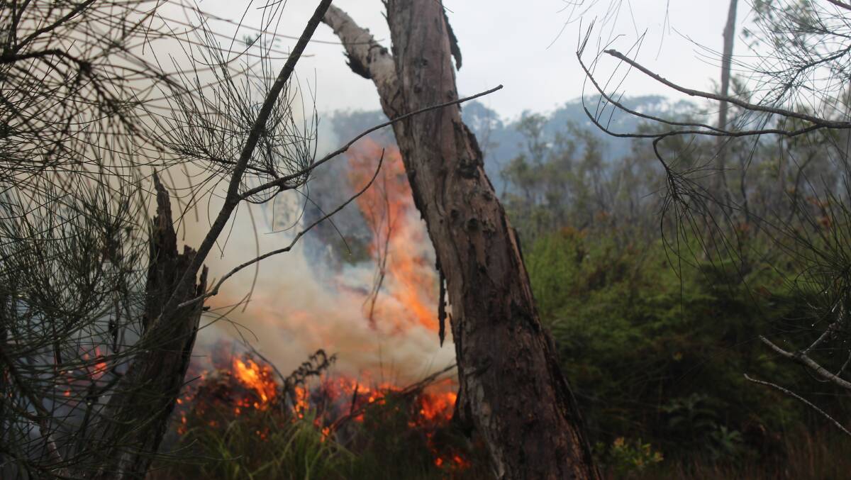 BUSHFIRE: A bushfire in December burnt out a large section of Mambo Wetlands in Salamander Bay.