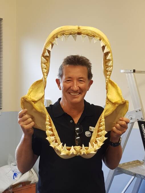JAWS: Dr Colin Buxton about to examine a shark's jaw while in Port Stephens for the two-day summit held at the Taylors Beach Fisheries centre. Picture: Supplied