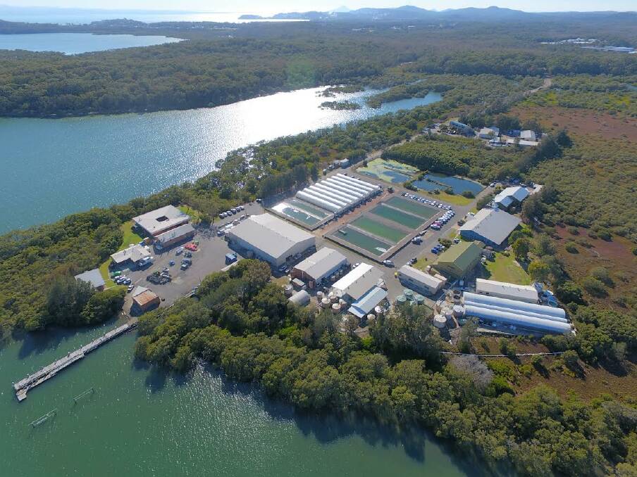 HUB: The Port Stephens Fisheries Institute at Taylors Beach is to undergo an upgrade and expansion.