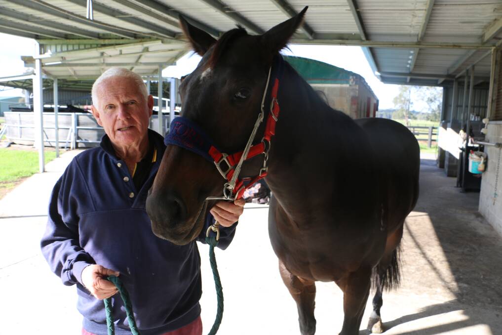 ROMANTIC: Salt Ash racehorse owner Bruce MacKenzie with galloper, Oakfield Romance, a four-year-old mare which has a record of one win and six seconds.