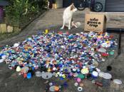 RUBBISH: Some of the plastic bottle caps and bit and pieces collected from Birubi Beach by the Brown family of Anna Bay and their dog Evie. Picture: Supplied