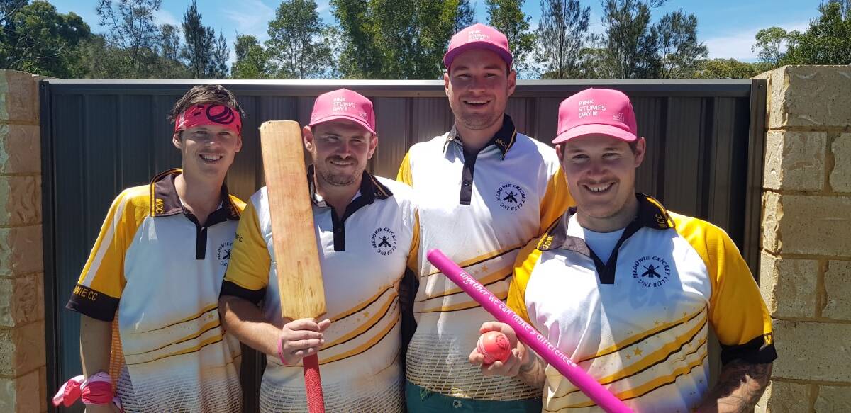 PINK STUMP: Preparing for the Medowie Cricket CLub's pink stump day are (from left): Ashley Burke, Taylor Reynolds, Josh Cappiello and Aiden Bartley.