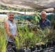 MORE HANDS NEEDED: Tilligerry Habitat's Dee Murdoch and Ross Hampton in a section of the nursery.