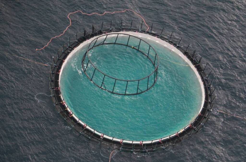FORTIFIED: Huon Aquaculture and the NSW government are relocating five "fortress pen" seacages back to Port Stephens to resume a kingfish farm research trial.