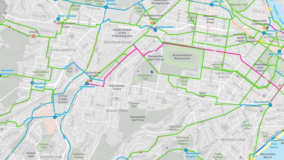 BIKE TRACK: The proposed route for the Adamstown to Newcastle West bike track (in green). Picture: NCC