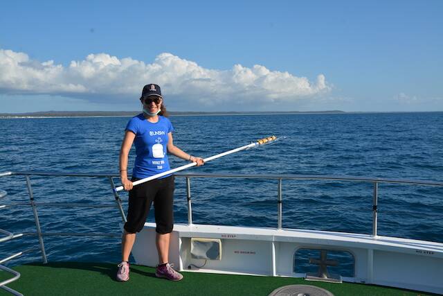 CENSUS POLE: UNSW Science whale researcher Dr Catharina Vendl with the telescopic pole she used to collect samples of whales' blow in Hervey Bay, Queensland, in 2017. Picture: Jordann Crawford-Ash