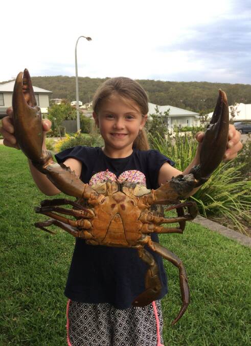 CRAB HEAVEN: Crab champ Kayla Sullivan wrestled this monster at Tilligerry Creek. Picture: Supplied.
