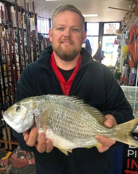 RESULT: Tanilba champion Nic Young with a 1.8kg bream taken from Stockton Beach on a pipi bait. Picture: supplied.