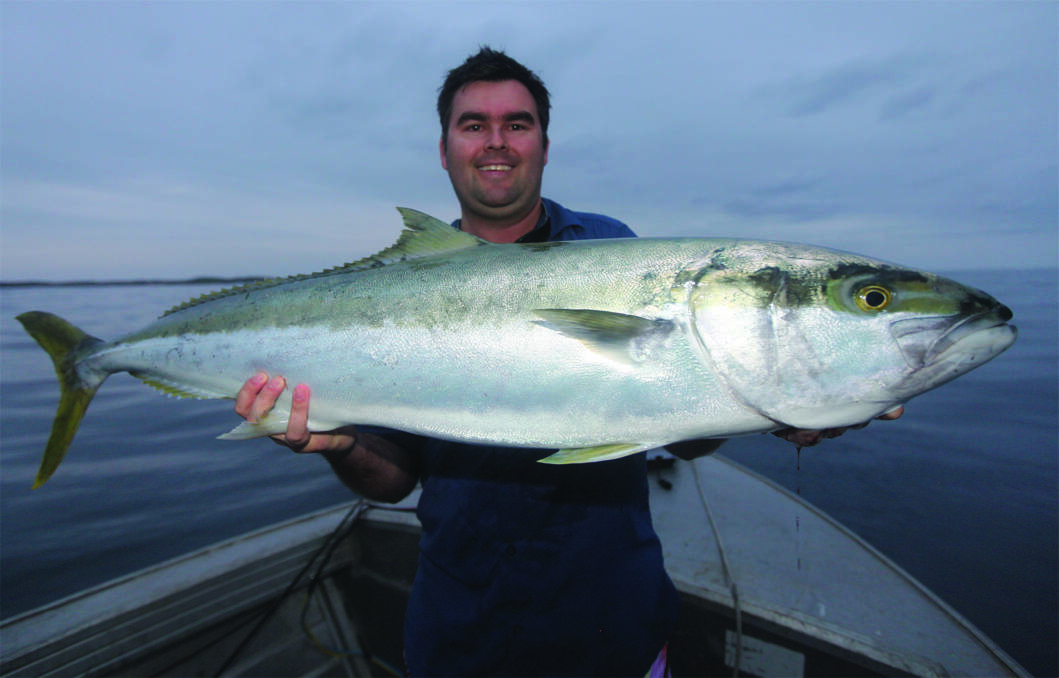 Local champ Brent Hancock with a giant kingfish. Picture supplied