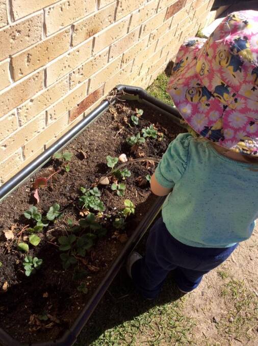 GROWTH: Gardening is just one of the activities that children will experience at Tilli Tadpoles Early Learning Centre.