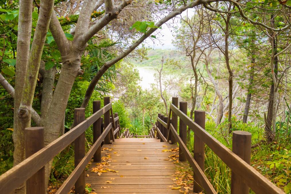 TRANQUIL: There's plenty of outdoor activities to capture the best of the peninsula with bush walks and board walks a plenty.