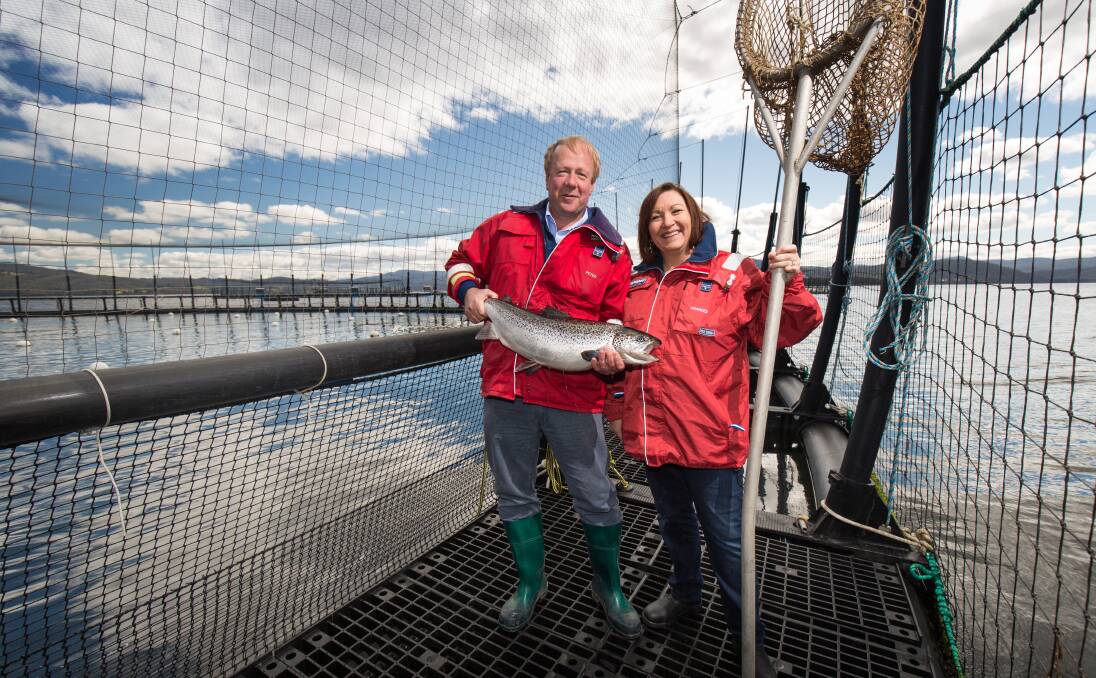 FISH FARMERS: Frances and Peter Bender, co-founders of the Tasmanian-based Huon Aquaculture, hope to operate a fish farm with NSW DPI off the Port Stephens heads. Picture: Peter Mathew