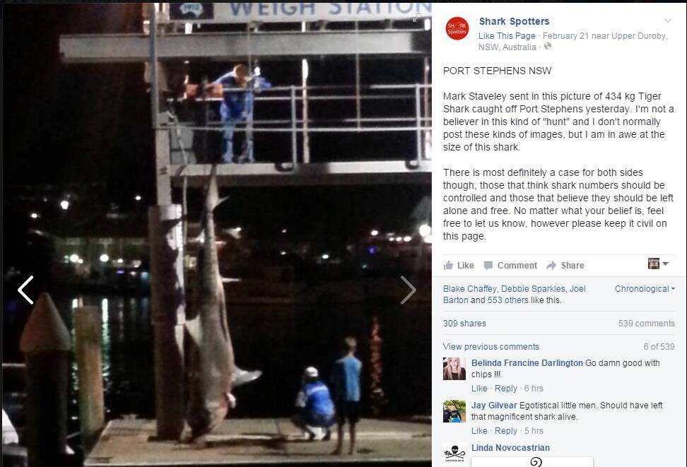 POLARISING ISSUE: The post on the Shark Spotters Facebook page has had a lot of likes, shares and comments since Sunday.