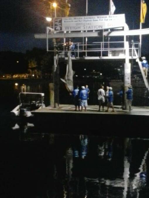 A 433kg tiger shark was caught in Port Stephens on February 20.