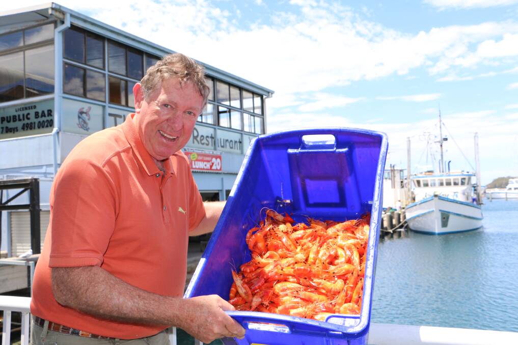 TOP QUALITY: Fisherman's Wharf Seafood owner Peter Hofbauer expects to sell three tonnes of prawns this Christmas. 