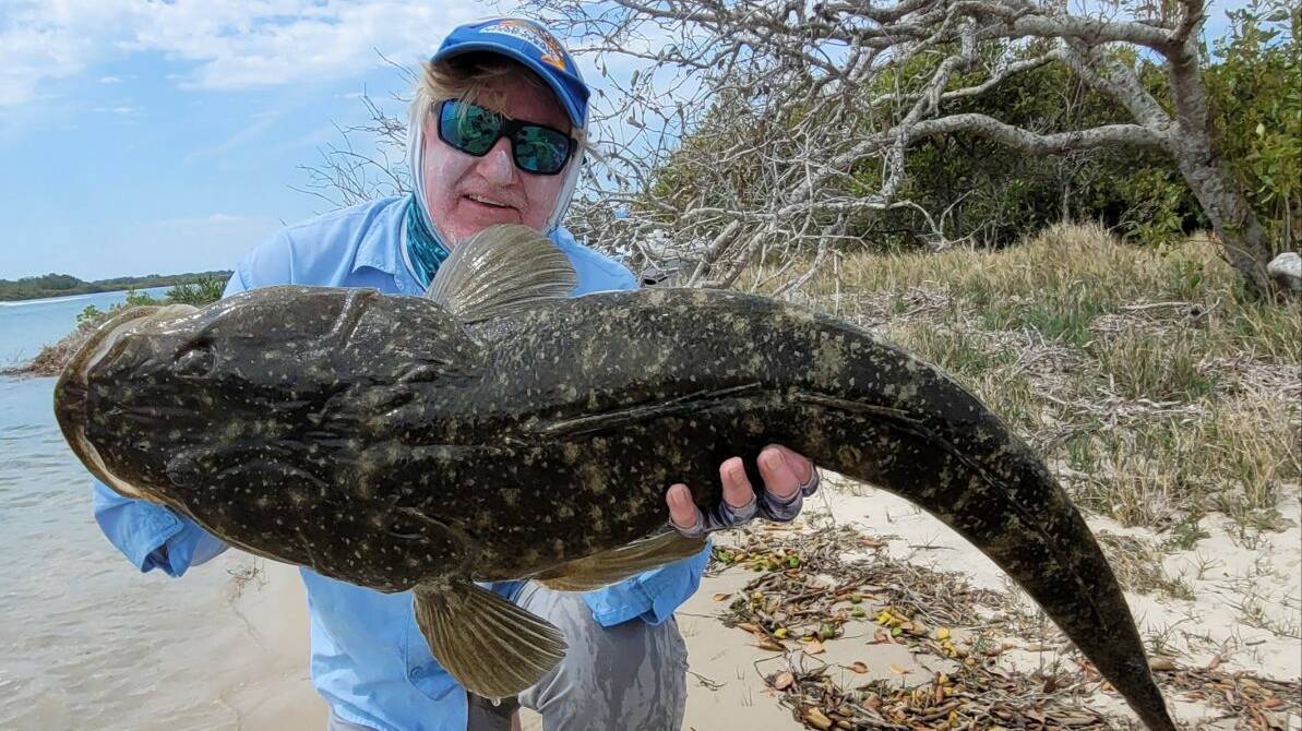 BIG ONE: Wayne Coles recently caught and released this 105cm monster flathead which Stinker said is "the biggest flatty I have ever reported over the past 35 years".