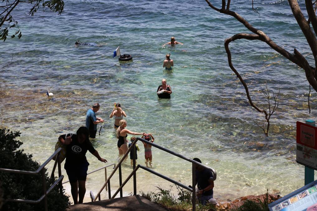 Divers at Fly Point during summer in 2019. It is one of the Port's popular and most accessible dive spots in Nelson Bay. Picture: Ellie-Marie Watts