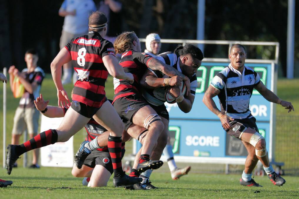 TOUGH: The Nelson Bay Gropers dashed Singleton's semi-finals hopes on Saturday with a 22-15 win. Photo of the Bay's June clash with Singleton. Picture: Nelson Bay Rugby Club
