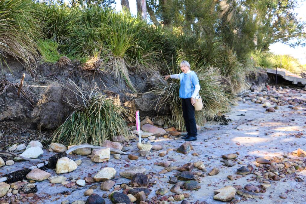 Jean Armstrong inspecting the erosion at Soldiers Point, near the marina.