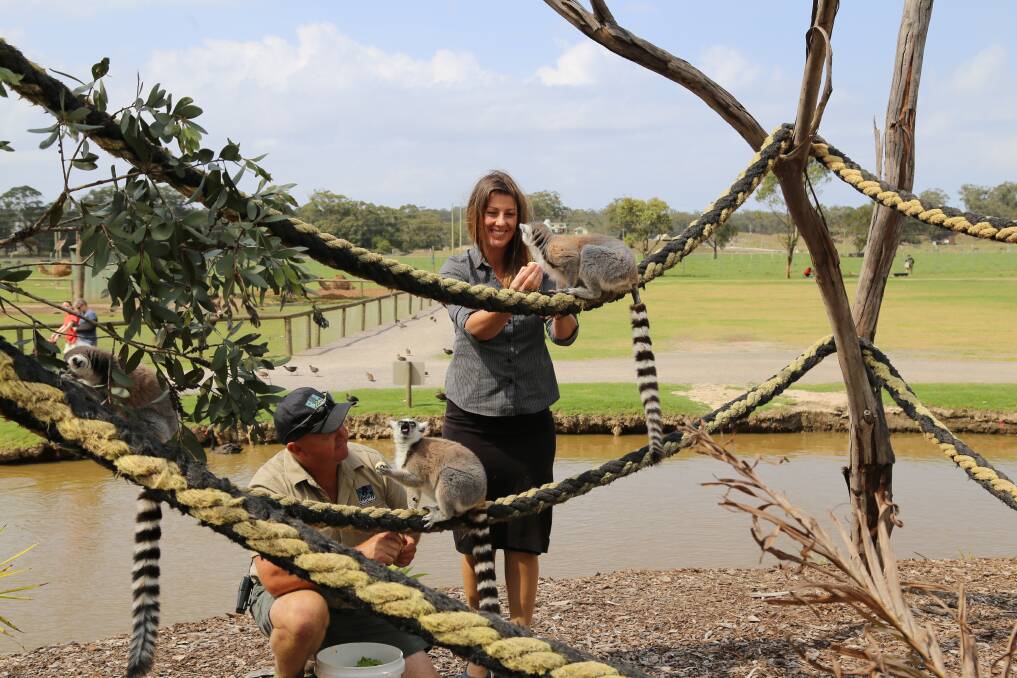 CELEBRATION: Oakvale owners Kent and Leanne Sansom feeding the wildlife park's lemurs. Picture: Ellie-Marie Watts
