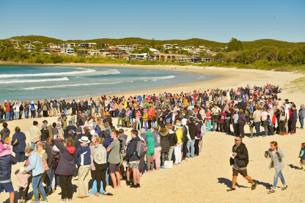 Participants on Fingal Beach on Sunday, July 14, forming the human whale. Picture: Bonita Holmes-Nuu