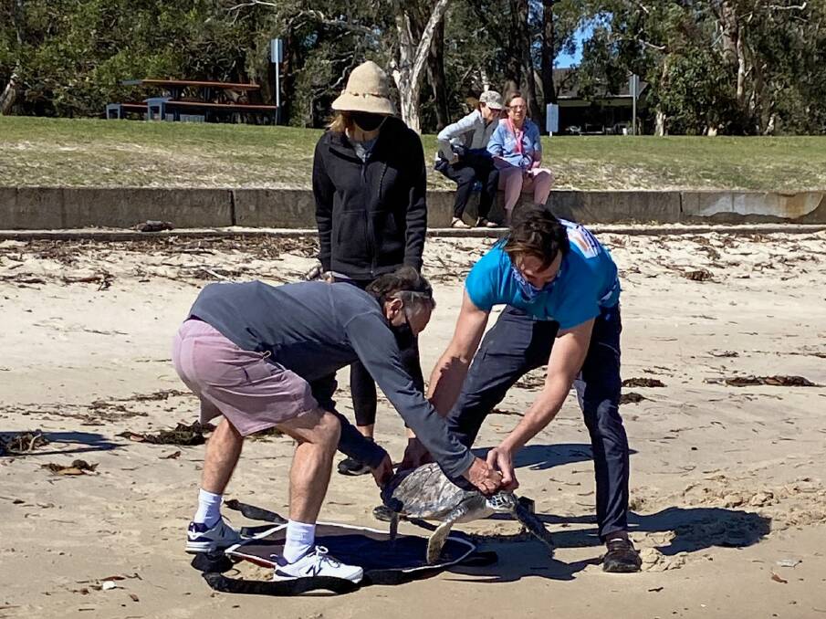 HEALTHY: Nelson Bay couple John and Mandy Dedman helping Sea Shelter founder Ryan Pereira release Krill back into the ocean on September 7. Picture: Supplied