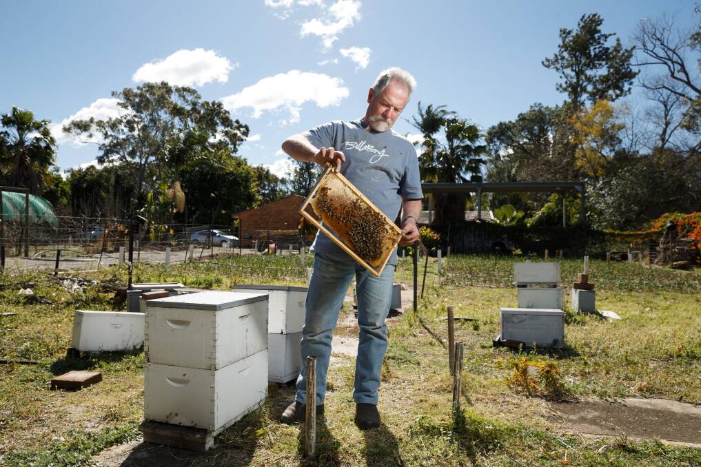 Un-bee-lievable: David Vial, of Williamtown, photographed with his bees before the crisis hit. Picture: Max Mason-Hubers