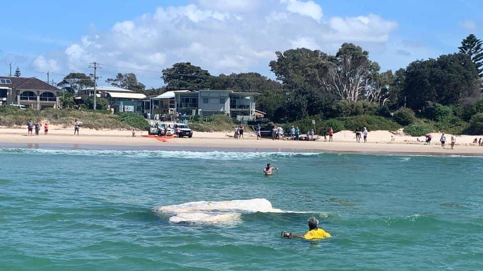 The whale carcass seen floating in the water off the Bay for more than a week was removed from Fingal Beach and buried by NPWS on Saturday, September 19. Pictures supplied.