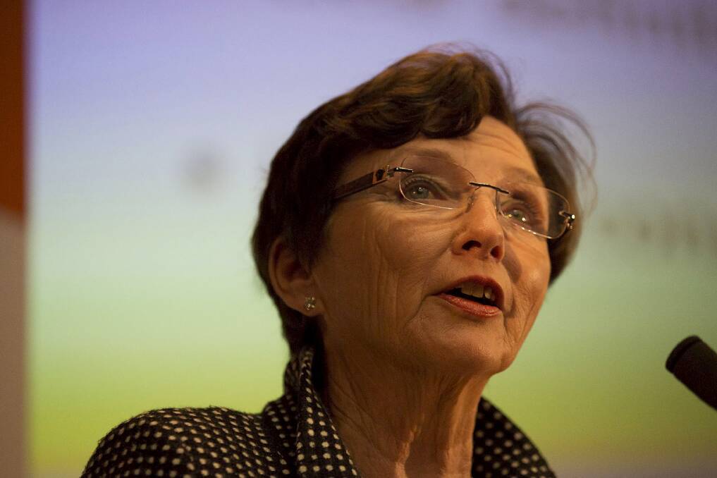 Kathryn Greiner AO, chair for the NSW Ministerial Committee on Ageing. Picture: Sean Davey