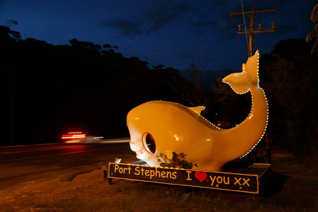 Miggy the white whale - Imagine Cruises' mascot that sits sentry at the entrance to Nelson Bay.