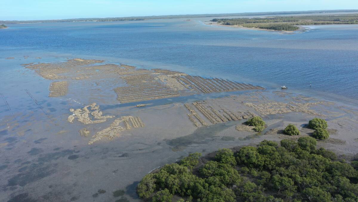 An aerial shot of the Karuah oyster reef. Picture: NSW DPI